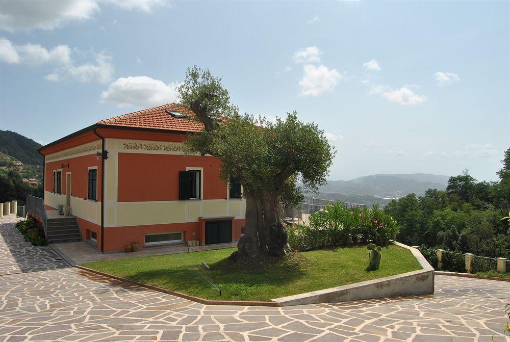 Gli Ulivi Di Montalbano